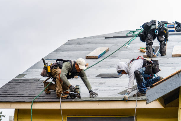 Professional Flat Roof Repair technician working in Jim Falls, WI